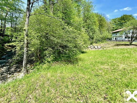 Märchenwald: Baugrundstück in Anthering