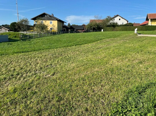 Traumhaftes sonniges Grundstück