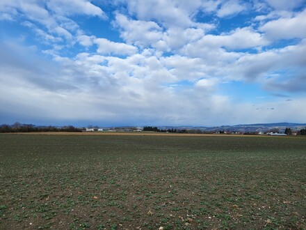 Landwirtschaftlicher Nutzgrund in Alkoven