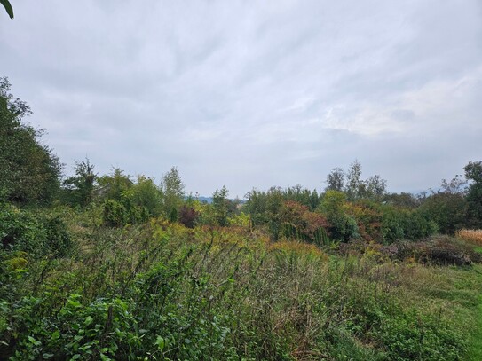 Landwirtschaftlicher Nutzgrund nahe Leondinger Straße