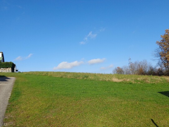 Baugrund mit Grünstreifen in schöner Südhanglage und Stadtnähe (1.490 m²)