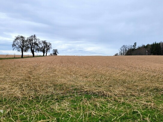 Landwirtschaftliche Grundstücke zw. Amstetten - Steyr