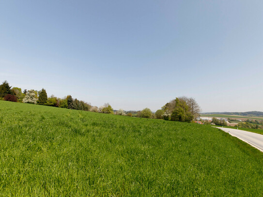 Baugrund in Wolfsegg / Gstaudet