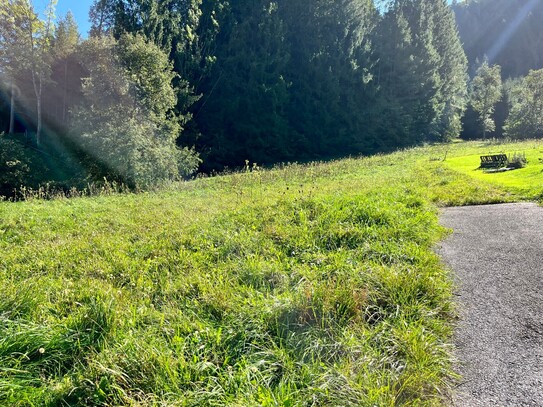 Baugrundstück in ruhiger Lage