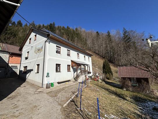 Bauernhaus in Alleinlage mit herrlicher Aussicht