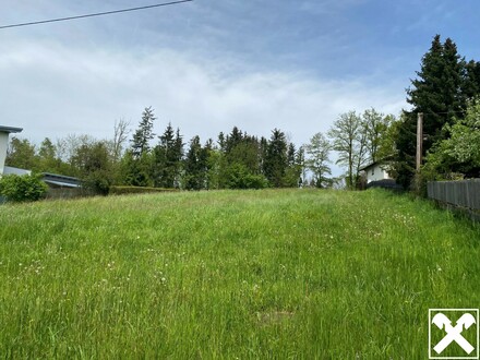 Baugrund in Brunnenthal