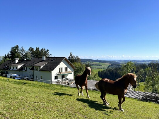 Wohntraum mit Pferdestall und Obstbaumwiesen