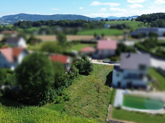 Tolles Baugrundstück OHNE Bauzwang