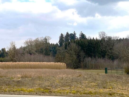 Großer Baugrund in schöner Lage Nähe Ortsbereich