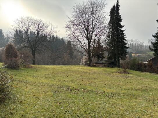 Schöner Baugrund in Linz-Nähe ohne Bauzwang