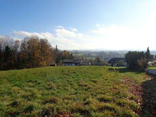 Sonniger Baugrund mit Grünstreifen in schöner Lage in Stadtnähe (1.491 m²)