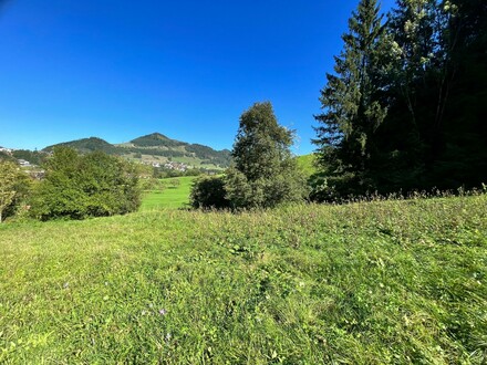 Baugrundstück mit Wald und landwirtschaftlicher Fläche