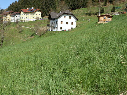 Baugrund in sonniger Süd-West-Hanglage