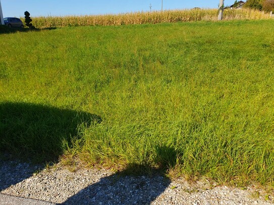 Baugrund in sehr schönem, ruhigem Neubaugebiet !