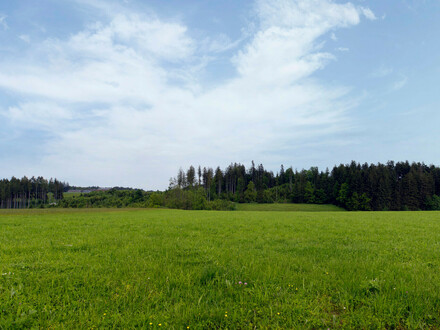 Landwirtschaftliche Flächen - Pacht