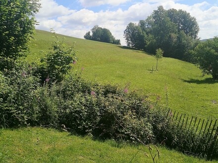 Baugrund Mondseeberg- Ruhelage - Panoramasicht