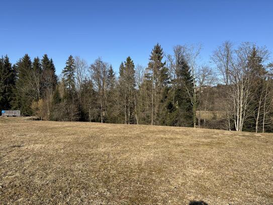 Baugrund inmitten der Natur