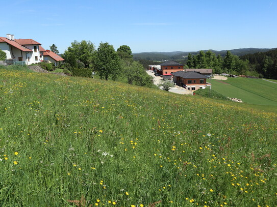 Baugrund in Dorfrandlage