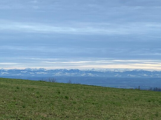 Mein Baugrund im Weingarten (6 Baugründe ab ca 841m2 inkl Trenngrün)