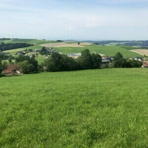 Baugründe "Alpenblick" - neues Baulandprojekt