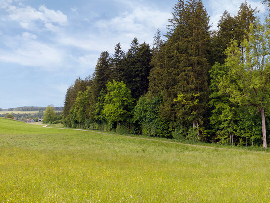 Landwirtschaftliche Flächen