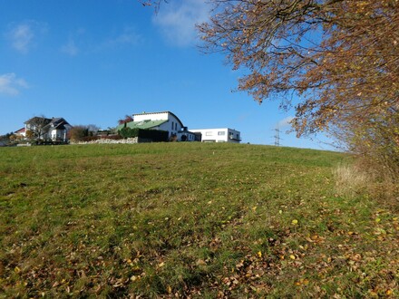 Baugrund mit Grünstreifen in beliebter Wohnlage und in Stadtnähe (1.300 m²)