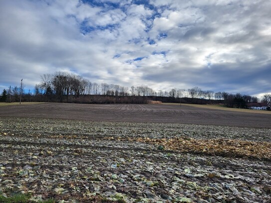 Landwirtschaftliche Nutzgründe