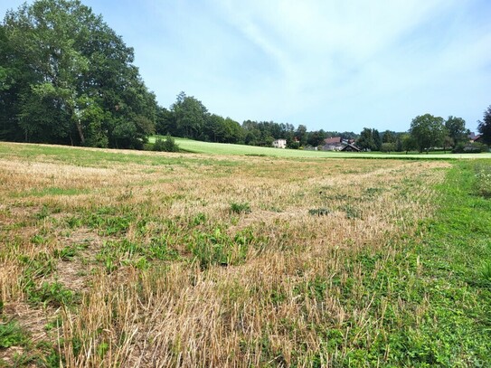 Großzügiges Baugrundstück Nähe Ried im Innkreis