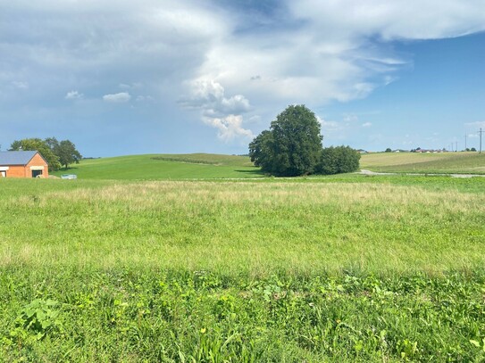 Baugrund in sonniger Siedlungslage