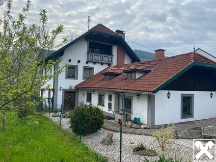 Einfamilienhaus mit Werkstatt und Einliegerwohnung