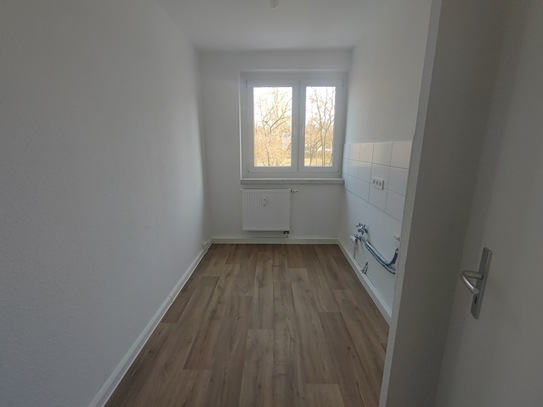 Familienwohnung im Erdgeschoss - komplett saniert!