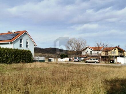 MIT BLICK ZUM LEITHAGEBIRGE UND NEUSIEDLERSEE