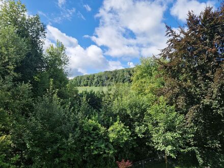 WUNDERVOLLES WOHNAMBIENTE MIT BLICK INS GRÜNE!