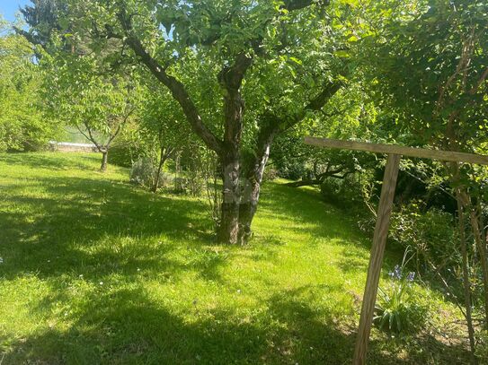Preisreduktion! BAUGRUNDSTÜCK MIT ALTBESTAND IN RUHIGER LAGE ? IDEAL FÜR NEUBAU ODER SANIERUNG