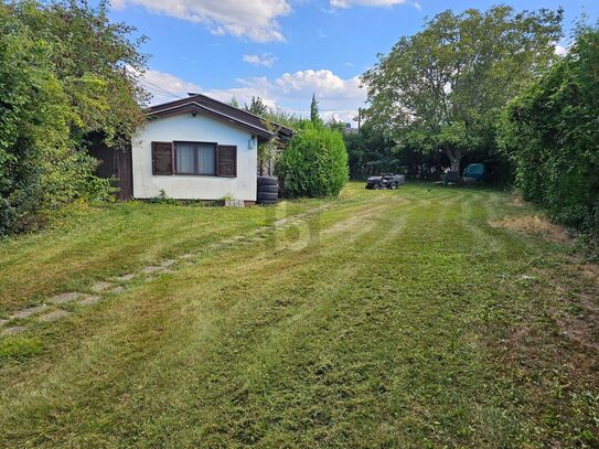 Preisreduktion! PREISHIT! AM STEINBRUNNERSEE - HERRLICHES WOHNEN IM GRÜNEN