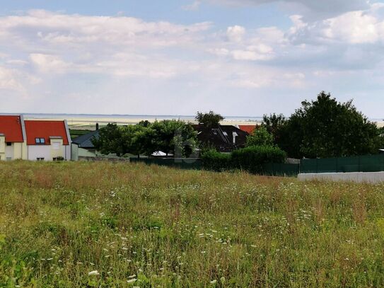 BLICK AUF DEN NEUSIEDLERSEE - ERHÖHTE RUHELAGE