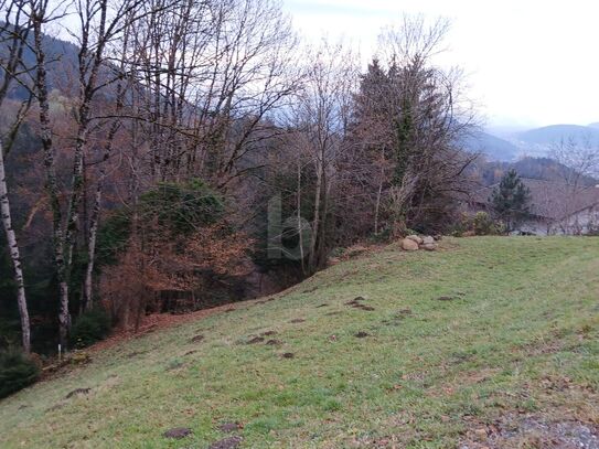 SONNIG MIT HERRLICHEM BLICK AUF DIE BERGE