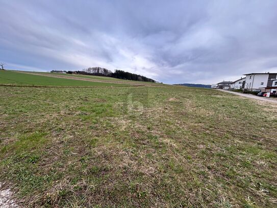 FAMILIENFREUNDLICHE BAUGRUNDSTÜCKE MIT UNVERBAUBAREM BLICK IN DIE NATUR