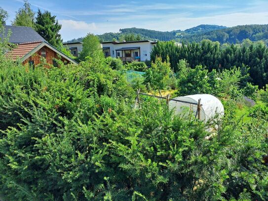 HOCHWASSERSICHER MIT GARTENHÜTTE UND WEITBLICK