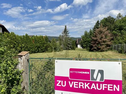 WERTANLAGE - SELTENE GELEGENHEIT IN XXL GRÖSSE