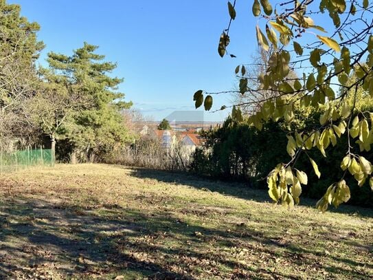 PROVISIONSFREI! EBENE ECKPARZELLE MIT ALTBAUMBESTAND UND SEEBLICK