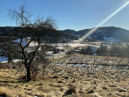 EINZIGARTIGER AUSBLICK