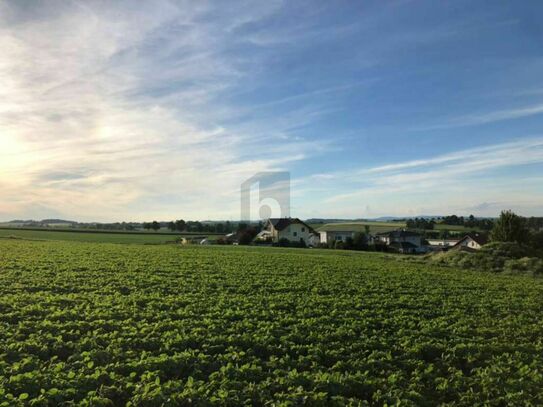 SONNIGE RUHELAGE MIT SUPER INFRASTRUKTUR!