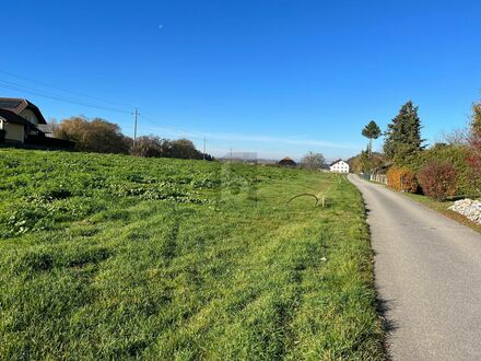 SONNIG IN SCHÖNSTER GRÜNLAGE