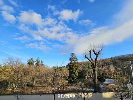 ALT-HIETZING - BLICK IN DEN SCHLOSSPARK SCHÖNBRUNN - BÜRO- ODER PRAXISRAUM