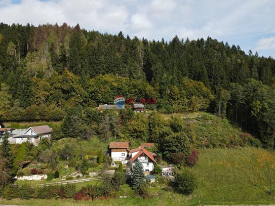 Grund, Waldflächen und Wörtherseeblick