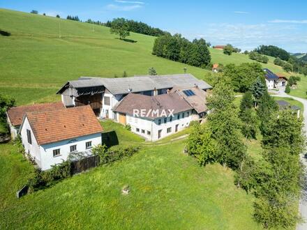 Ein Bauernhaus für Ihren Gewerbebetrieb