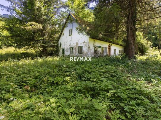 Renovierungsbedürftiges Refugium mit Wiese und Wald - Käuferprovisionsfrei!