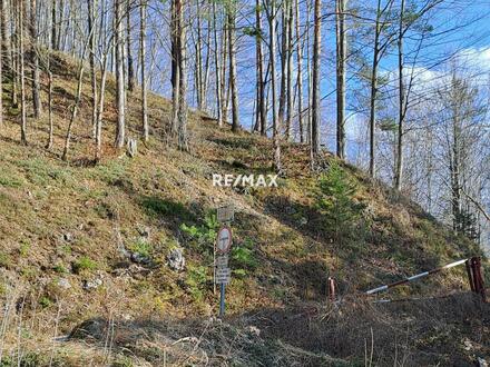 Wald am Sonnenhang - Kienberg - Verkauf mit DAVE - Käuferprovisonsfrei