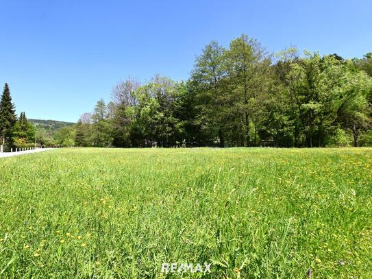 Voitsberg / Zangtal: Grundstück 3628m² (davon ca. 2000m² in Umwidmung beantragt) + Teich + Gartenhaus + Garage